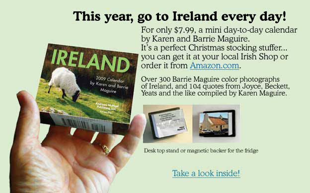 2009 Ireland calendar