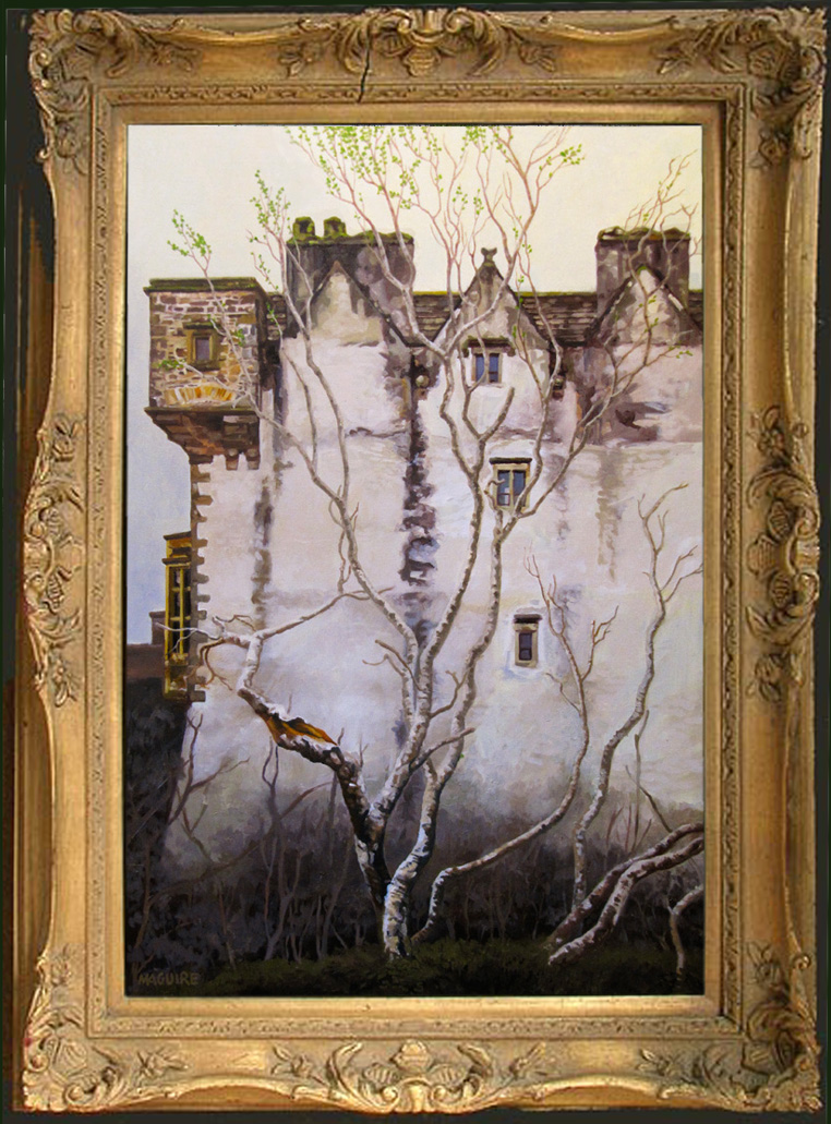 donegal castle framed