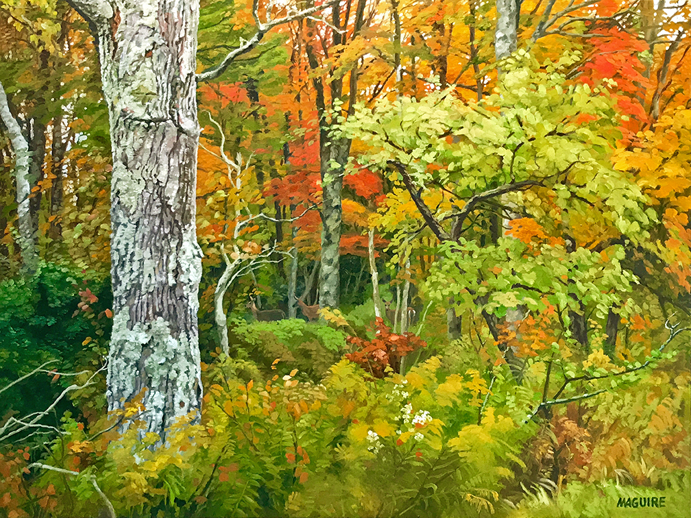 Stay Awhile - upstate New York forest scene
