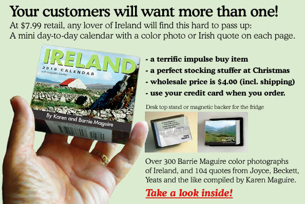 2009 Ireland calendar