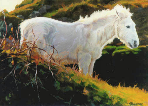 Connemara Pony  paintings of connemara ponies 