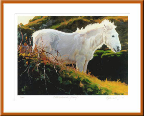 Irish Art - Connemara Pony