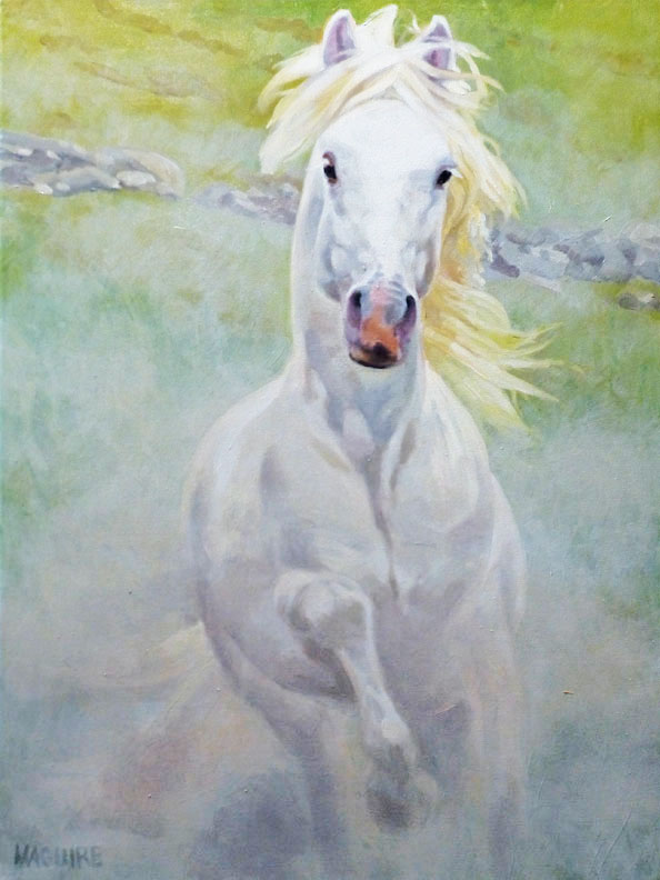 Tir na nOg - Connemara pony paintings