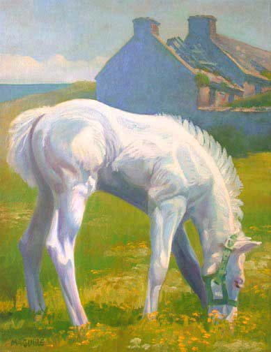 White Foal  paintings of connemara ponies 