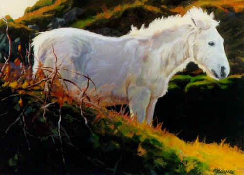 Irish Art - Connemara Pony
