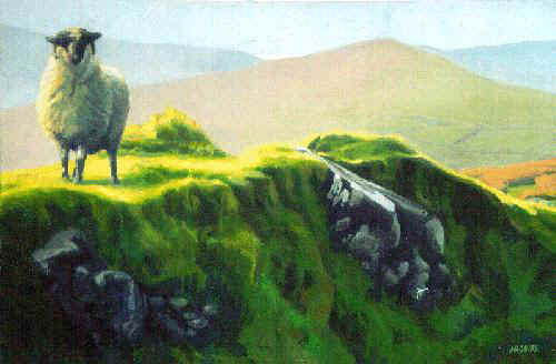 Irish sheep - Connor Pass Sentry
